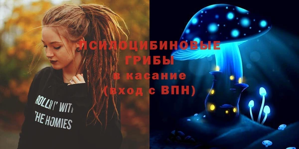 не бодяженный Волоколамск