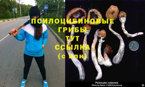 мдма Волосово