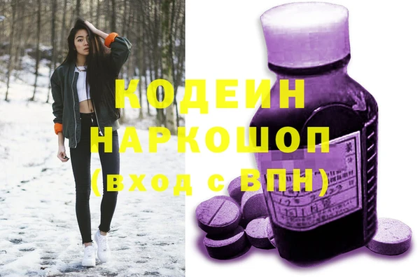 тгк Бородино